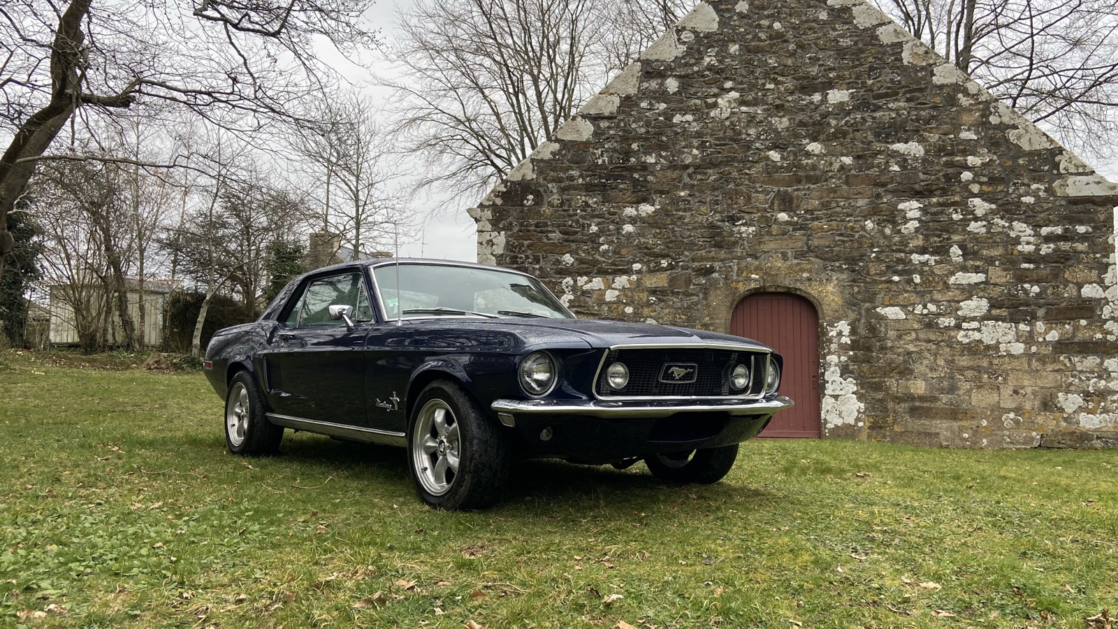 Ford Mustang 1968 de collection